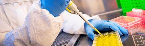 快讯：FDA批准抗生素治疗医院获得性细菌性肺炎和呼吸机相关细菌性肺炎